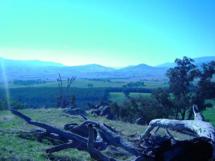 Fourth view of Homely rural property listing, Switchback Road, Mudgegonga VIC 3737