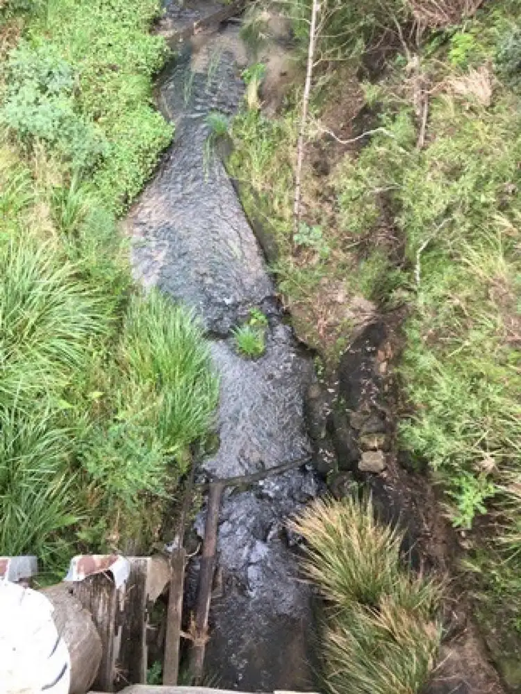 Seventh view of Homely land listing, Lot 80 Barlows Gate Road, Lower Acacia Creek NSW 2476