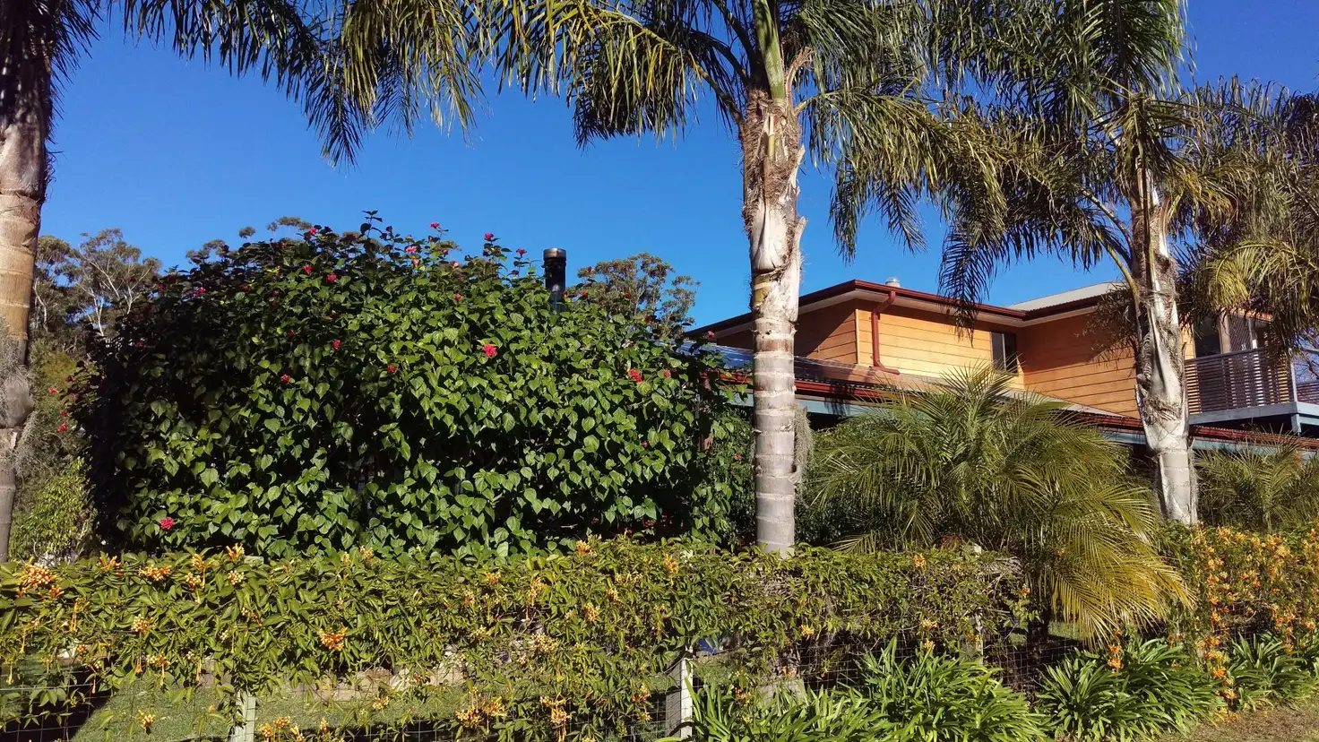 Main view of Homely house listing, 1 Surf St, Lake Tabourie NSW 2539