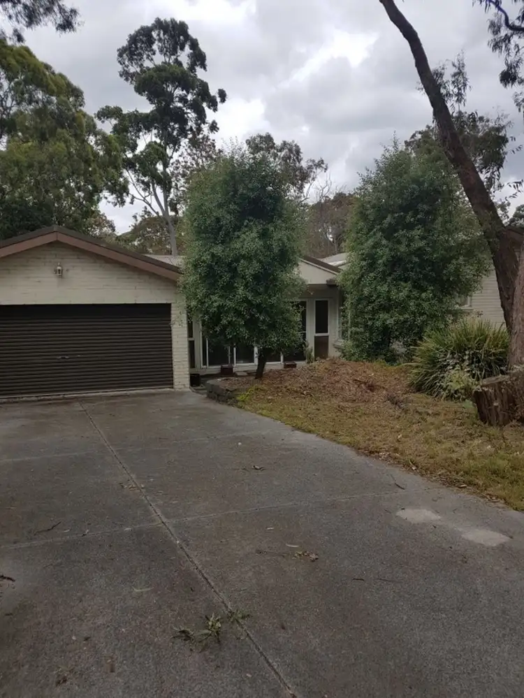 191 Canterbury Road