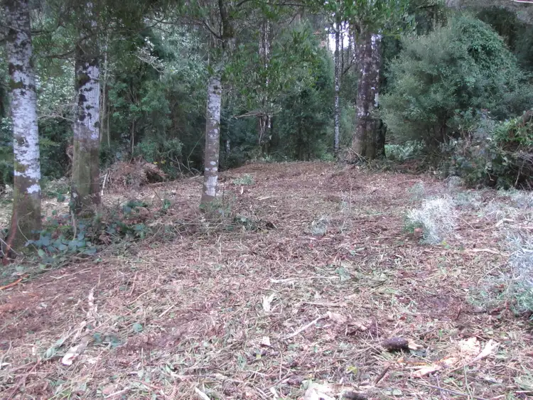 Main view of Homely land listing, 610 Amiets Road, Wyelangta VIC 3237