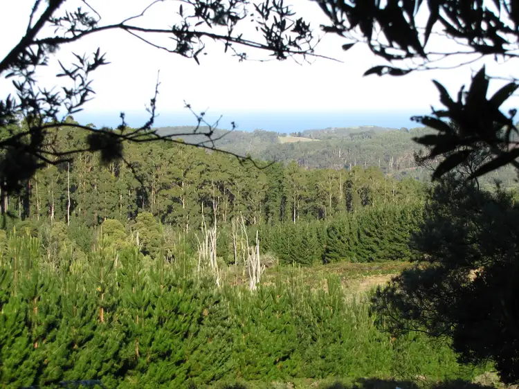 Second view of Homely land listing, 610 Amiets Road, Wyelangta VIC 3237