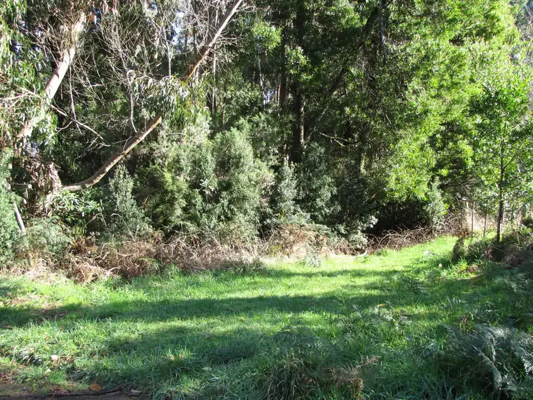 Fourth view of Homely land listing, 610 Amiets Road, Wyelangta VIC 3237