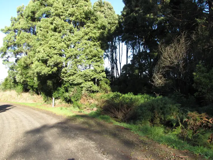 Fifth view of Homely land listing, 610 Amiets Road, Wyelangta VIC 3237