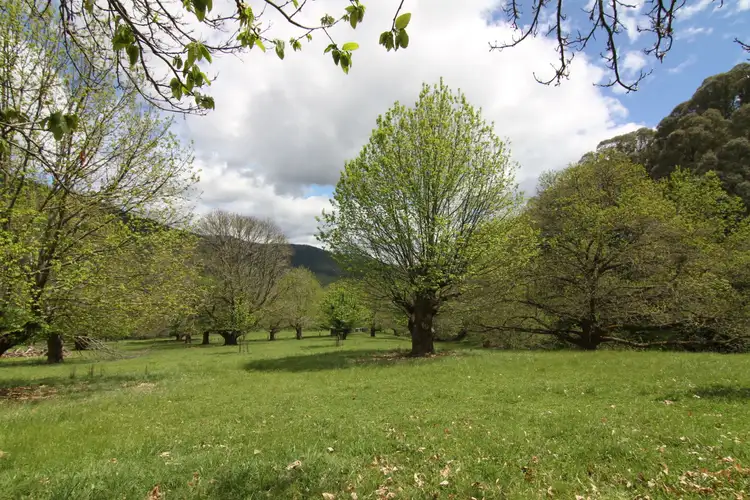 Second view of Homely land listing, LOT CA 13 Shepheards Lane, Wandiligong VIC 3744