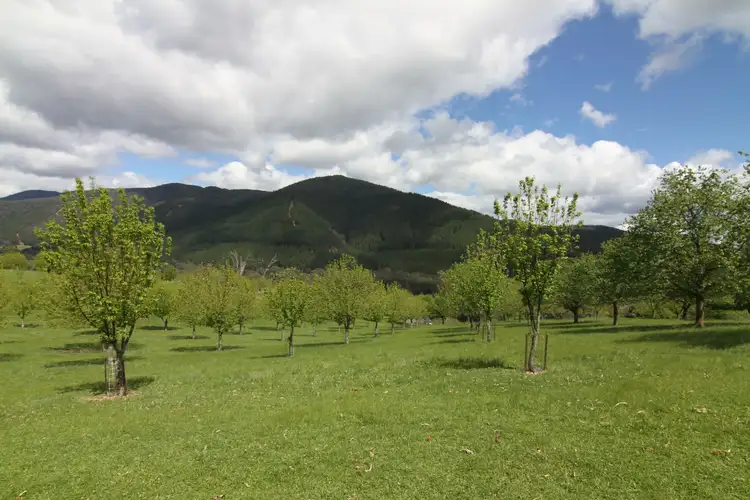 Third view of Homely land listing, LOT CA 13 Shepheards Lane, Wandiligong VIC 3744
