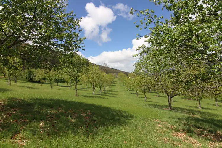 Fourth view of Homely land listing, LOT CA 13 Shepheards Lane, Wandiligong VIC 3744