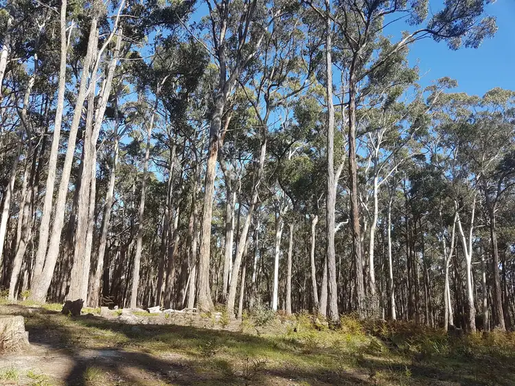 Second view of Homely land listing, 75 Woodduck Drive, Wheatsheaf VIC 3461