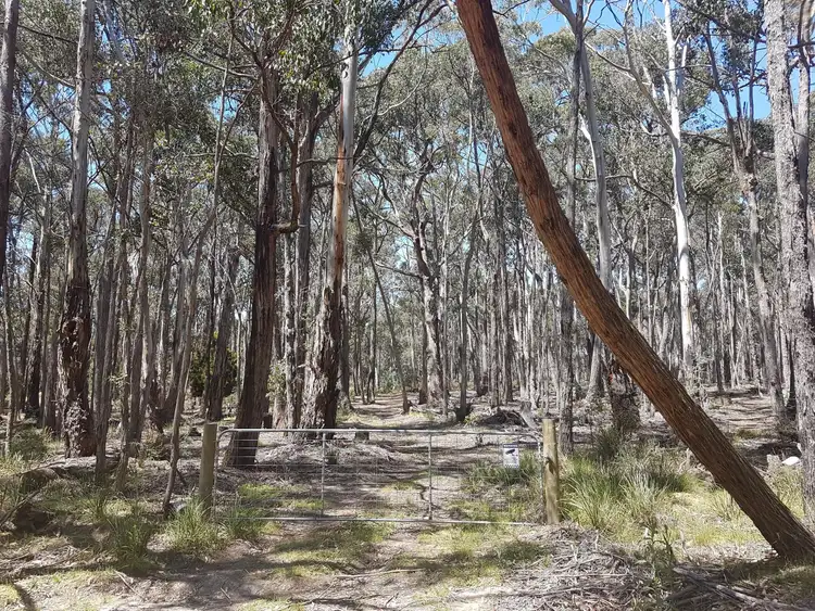 Third view of Homely land listing, 75 Woodduck Drive, Wheatsheaf VIC 3461