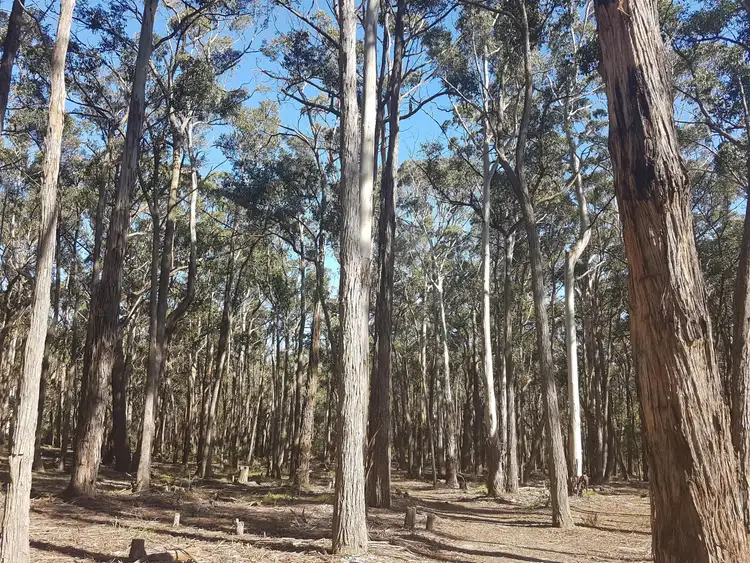 Sixth view of Homely land listing, 75 Woodduck Drive, Wheatsheaf VIC 3461