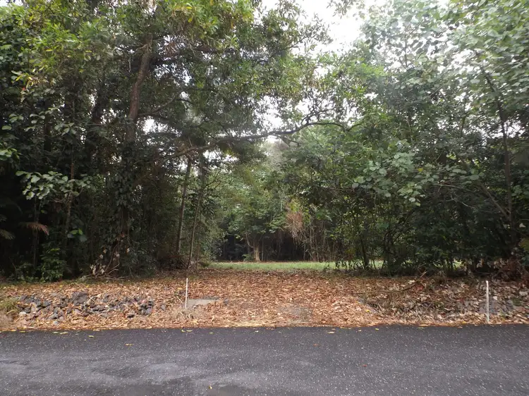 Lot 74 Forest Creek Road, Daintree QLD 4873