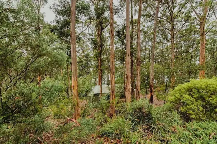 Third view of Homely house listing, 16 Payne Road, Denmark WA 6333