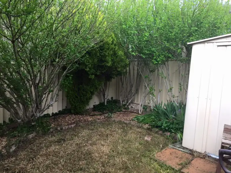 Main view of Homely townhouse listing, 4 Traynor Court, Melba ACT 2615