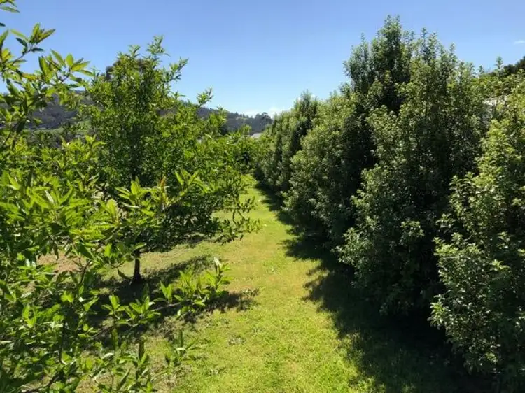 Sixth view of Homely land listing, LOT Lot, 1 Flood Road, Huonville TAS 7109