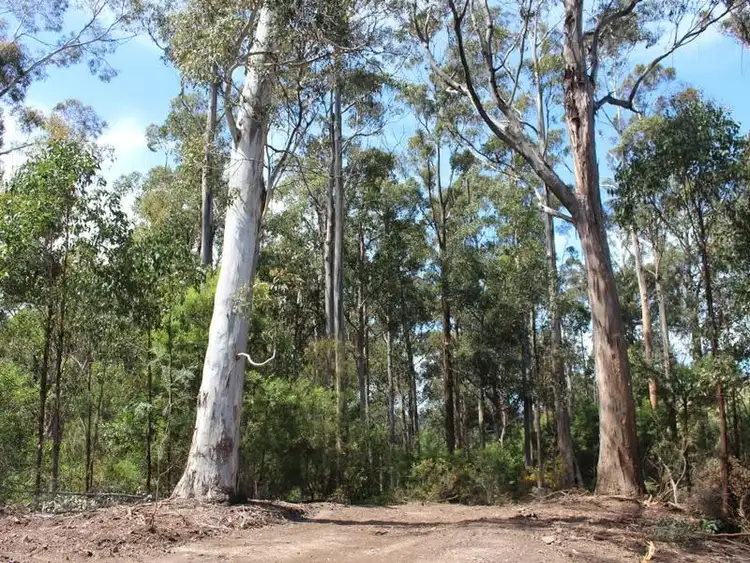 Fourth view of Homely land listing, Lot 1 Hollands Road, Cygnet TAS 7112