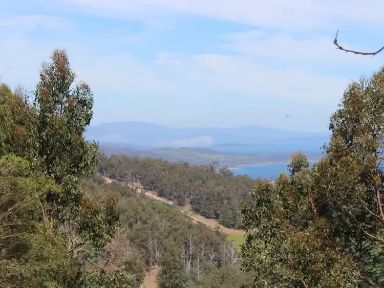 Sixth view of Homely land listing, Lot 1 Hollands Road, Cygnet TAS 7112