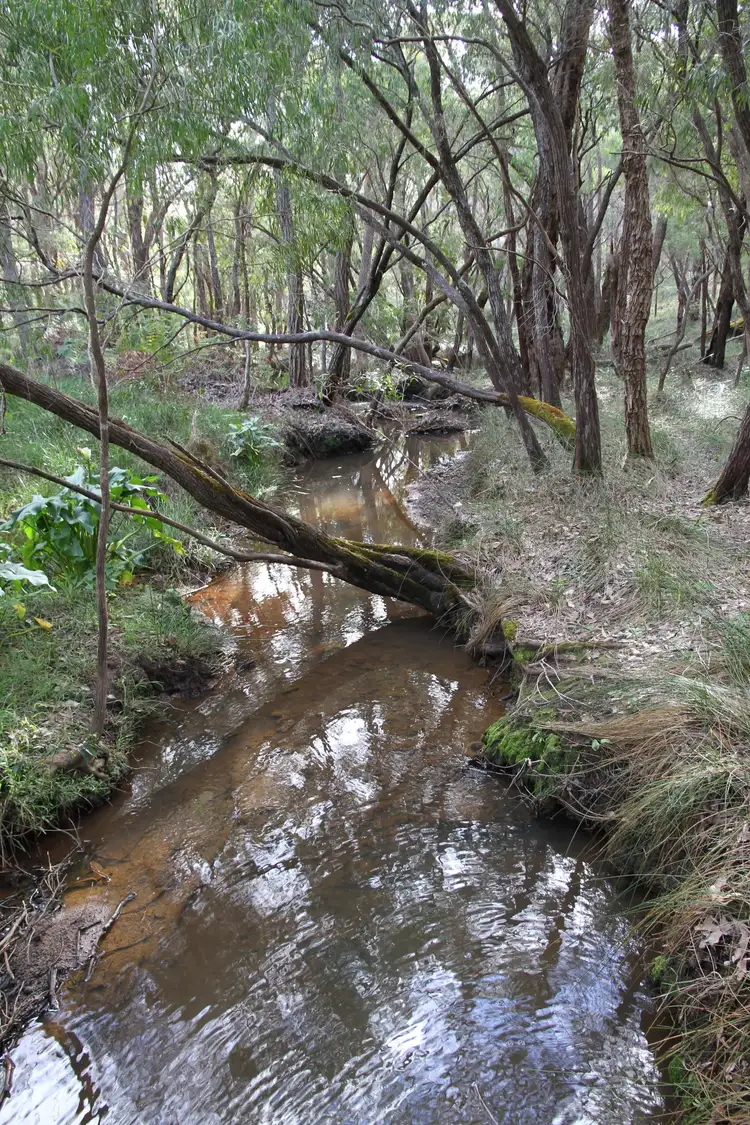 Second view of Homely land listing, 11 Honeycomb Lane, Yallingup WA 6282