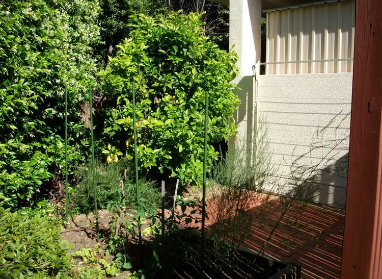 Fifth view of Homely townhouse listing, 3A Babbage Crescent, Griffith ACT 2603