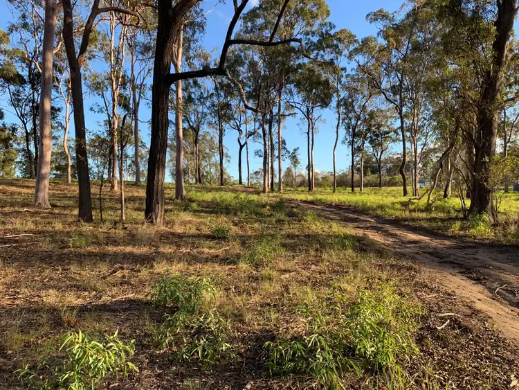 Third view of Homely land listing, 30 Billabong Way, Bucca QLD 4670