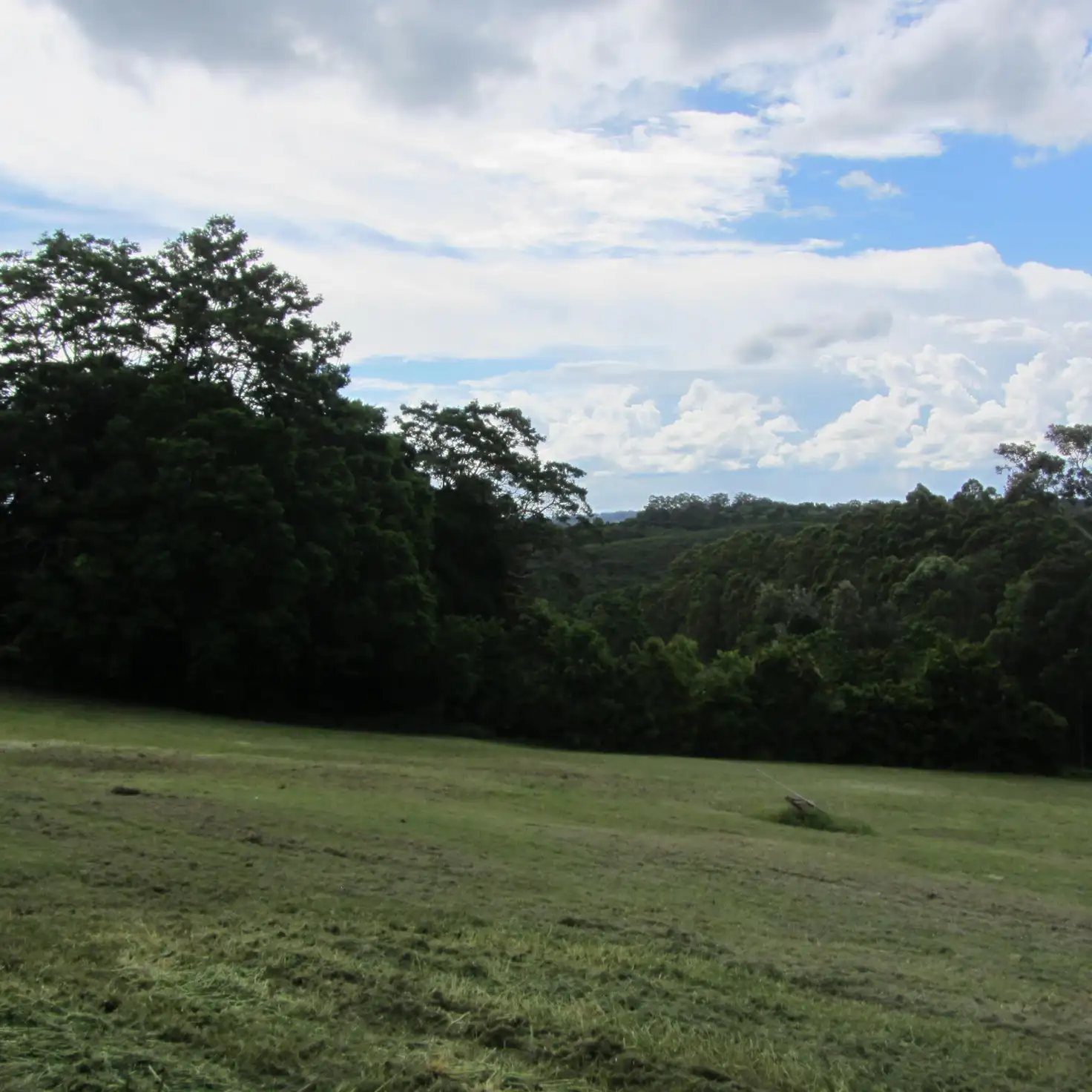 Main view of Homely house listing, DP1081401/49 Cedar Drive, Dunoon NSW 2480