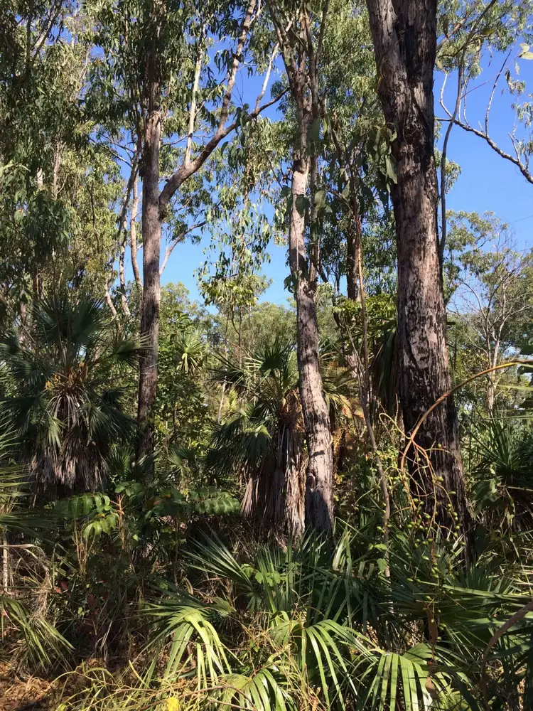Second view of Homely land listing, LOT Lot 3, 139 Eucalyptus Road, Herbert NT 836