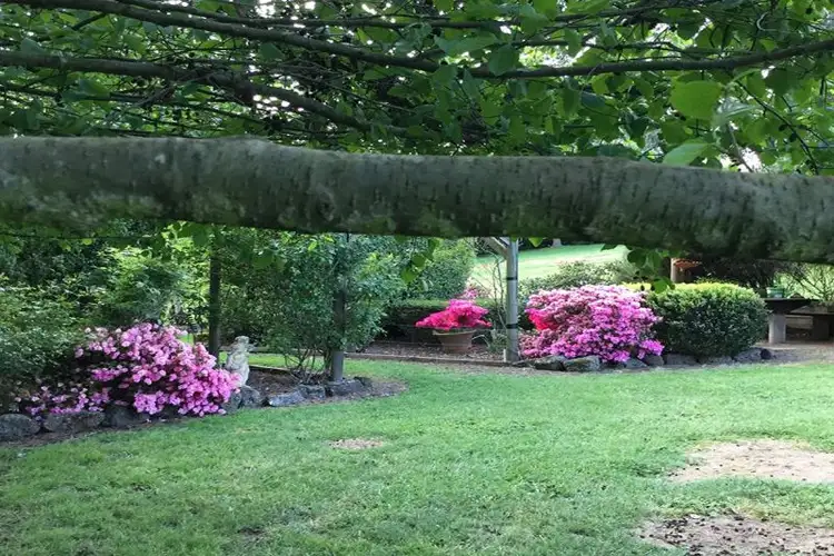 Fourth view of Homely house listing, 19 Camelot Crt, Warragul VIC 3820