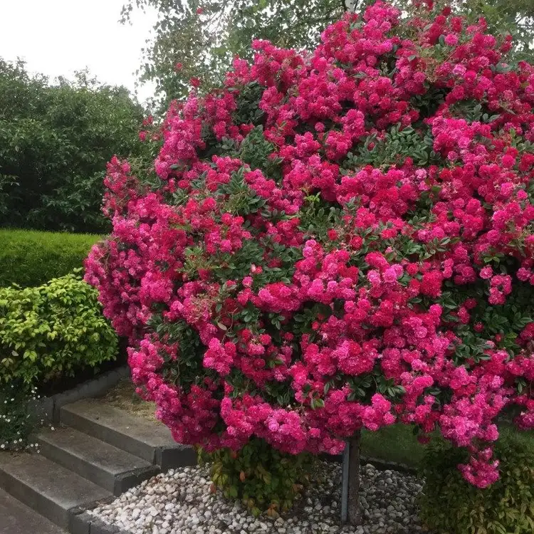 Sixth view of Homely house listing, 19 Camelot Crt, Warragul VIC 3820