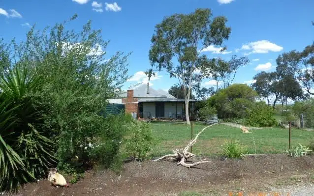 Main view of Homely rural property listing, 98 Bielefelds Road, Duri NSW 2344