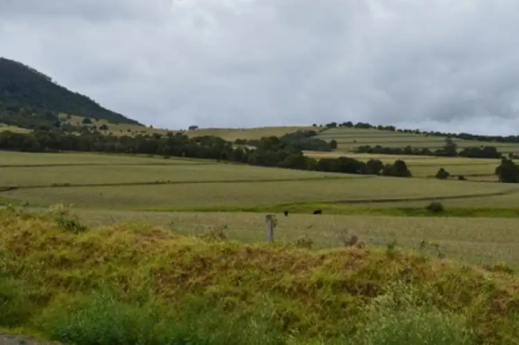 Fifth view of Homely land listing, 273 Mt Sturt Road, Killarney QLD 4373