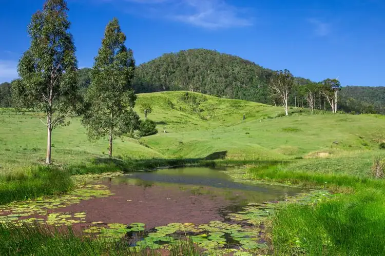 Second view of Homely land listing, 460 Eastern Mary River Road, Conondale QLD 4552