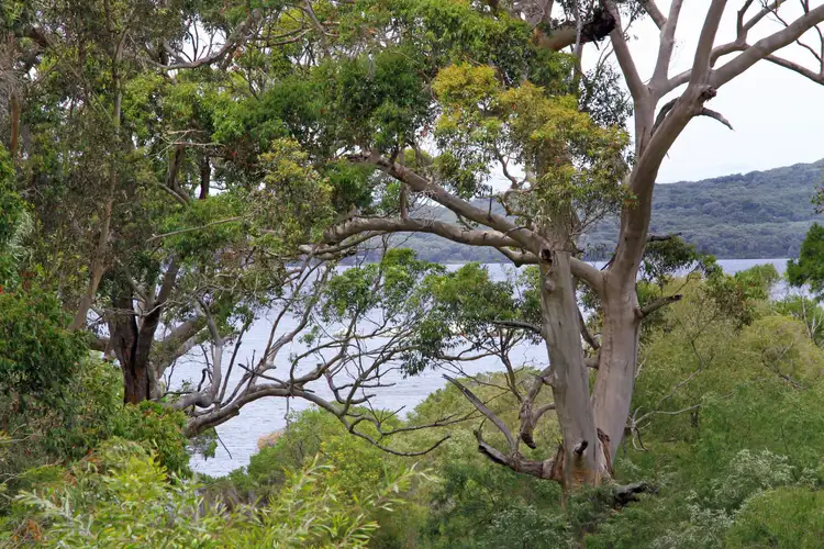 Sixth view of Homely house listing, 3 Maraveen Place, Denmark WA 6333