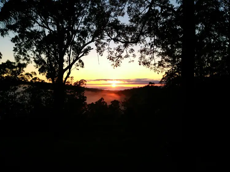 436 Sugarbag Rd, Drake NSW 2469