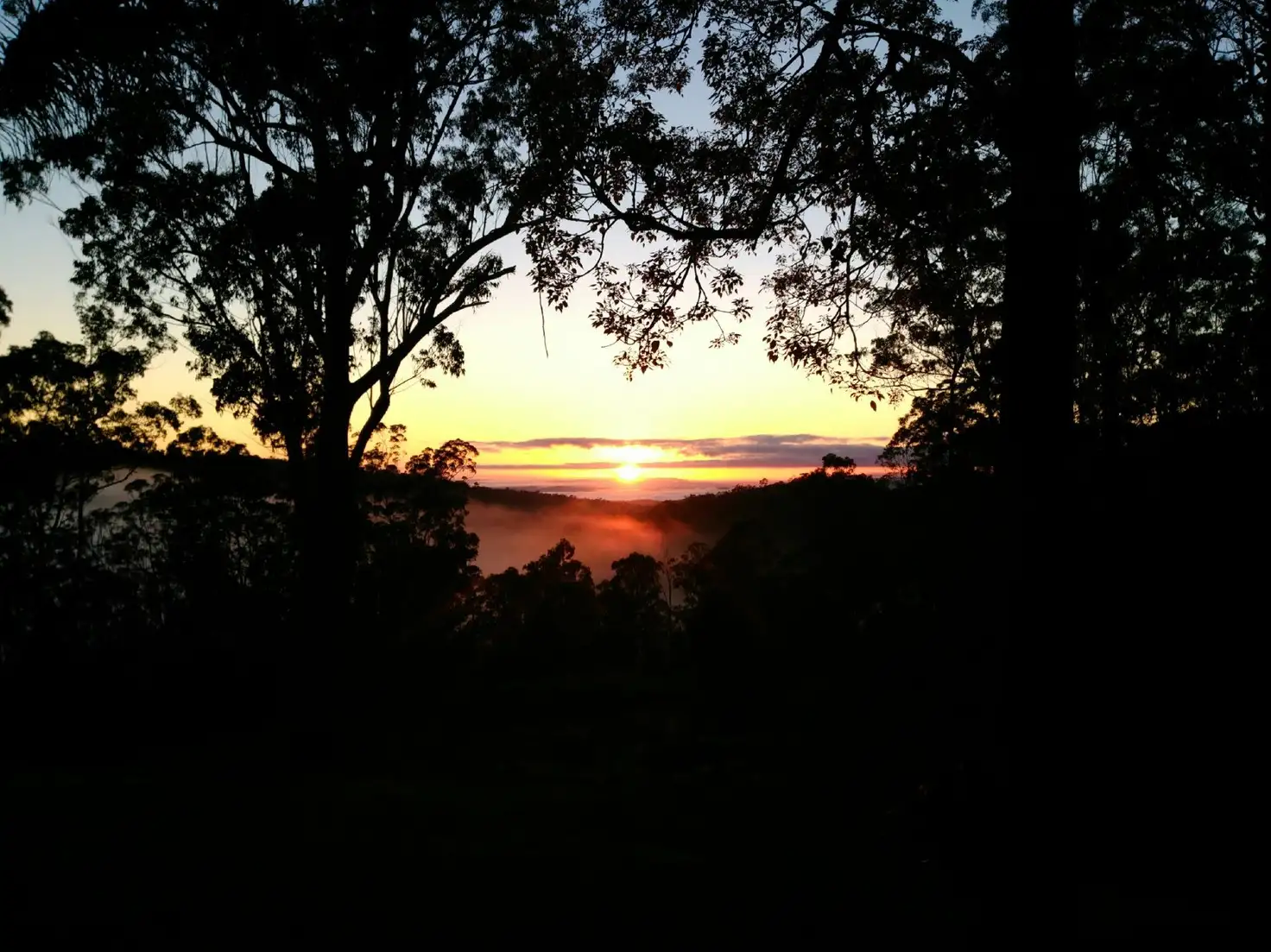 Main view of Homely land listing, 436 Sugarbag Rd, Drake NSW 2469