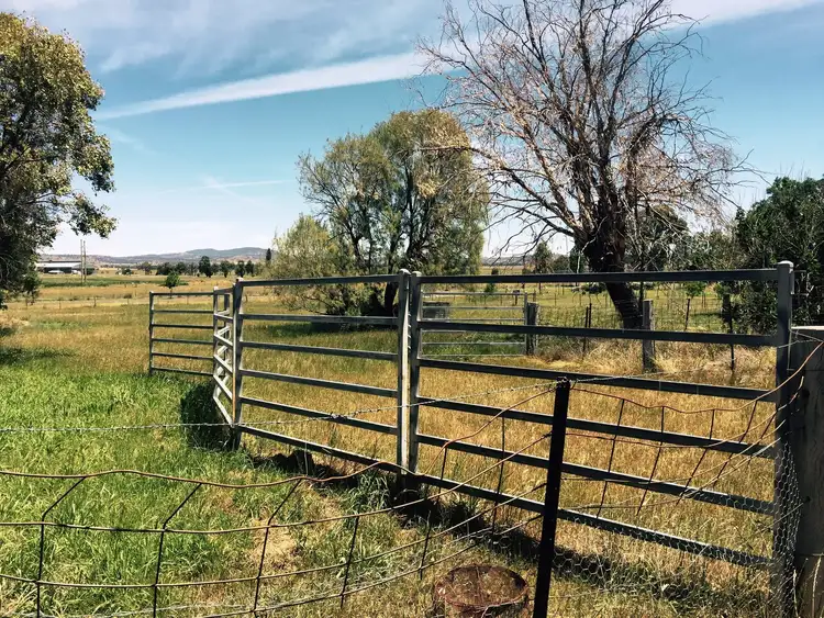 Fifth view of Homely house listing, 5 Wilson Avenue, Barraba NSW 2347