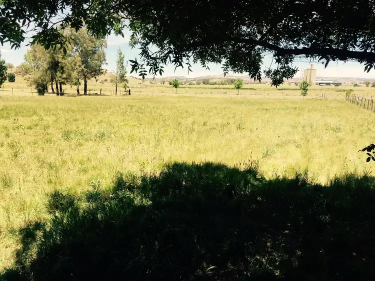 Sixth view of Homely house listing, 5 Wilson Avenue, Barraba NSW 2347