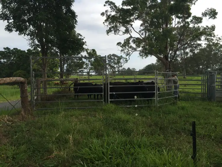 Fourth view of Homely land listing, 173 Stewart Road, Coondoo QLD 4570