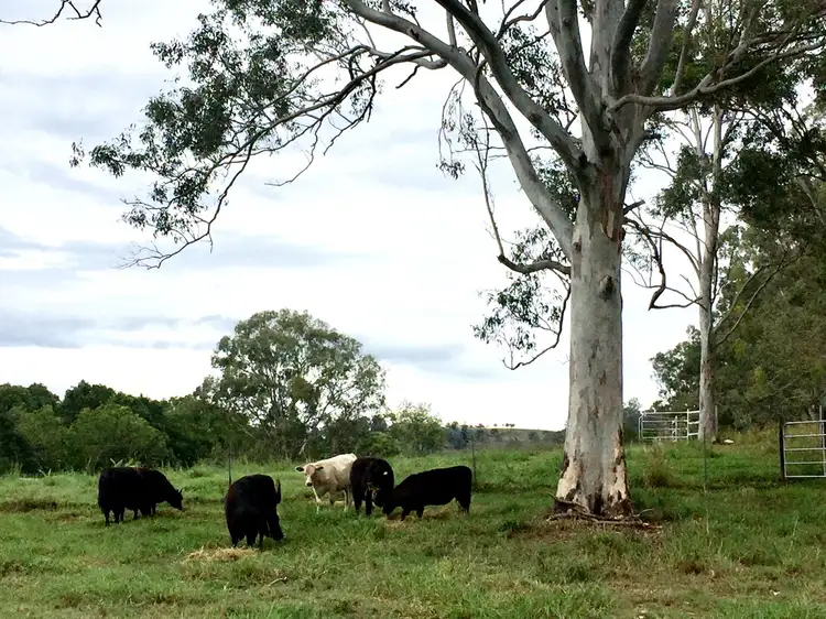 Fifth view of Homely land listing, 173 Stewart Road, Coondoo QLD 4570