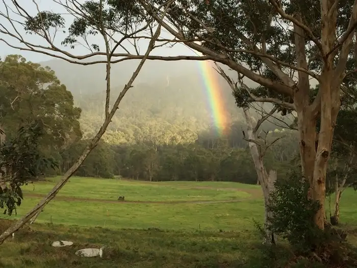Main view of Homely rural property listing, 126 Myers Road, Denmark WA 6333