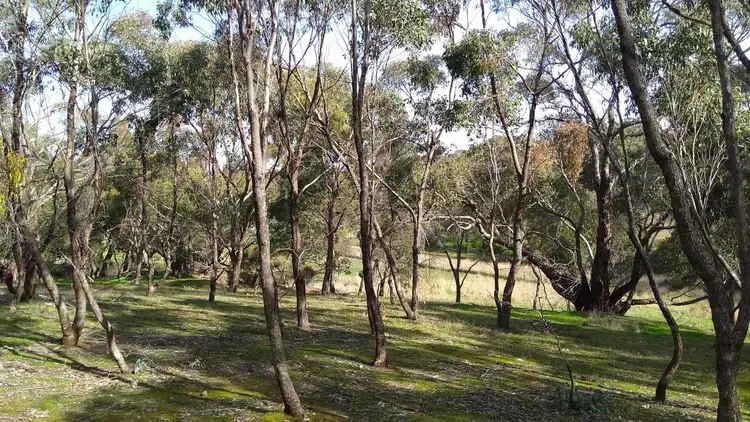 Sixth view of Homely land listing, 52 Davies Lane, Maldon VIC 3463