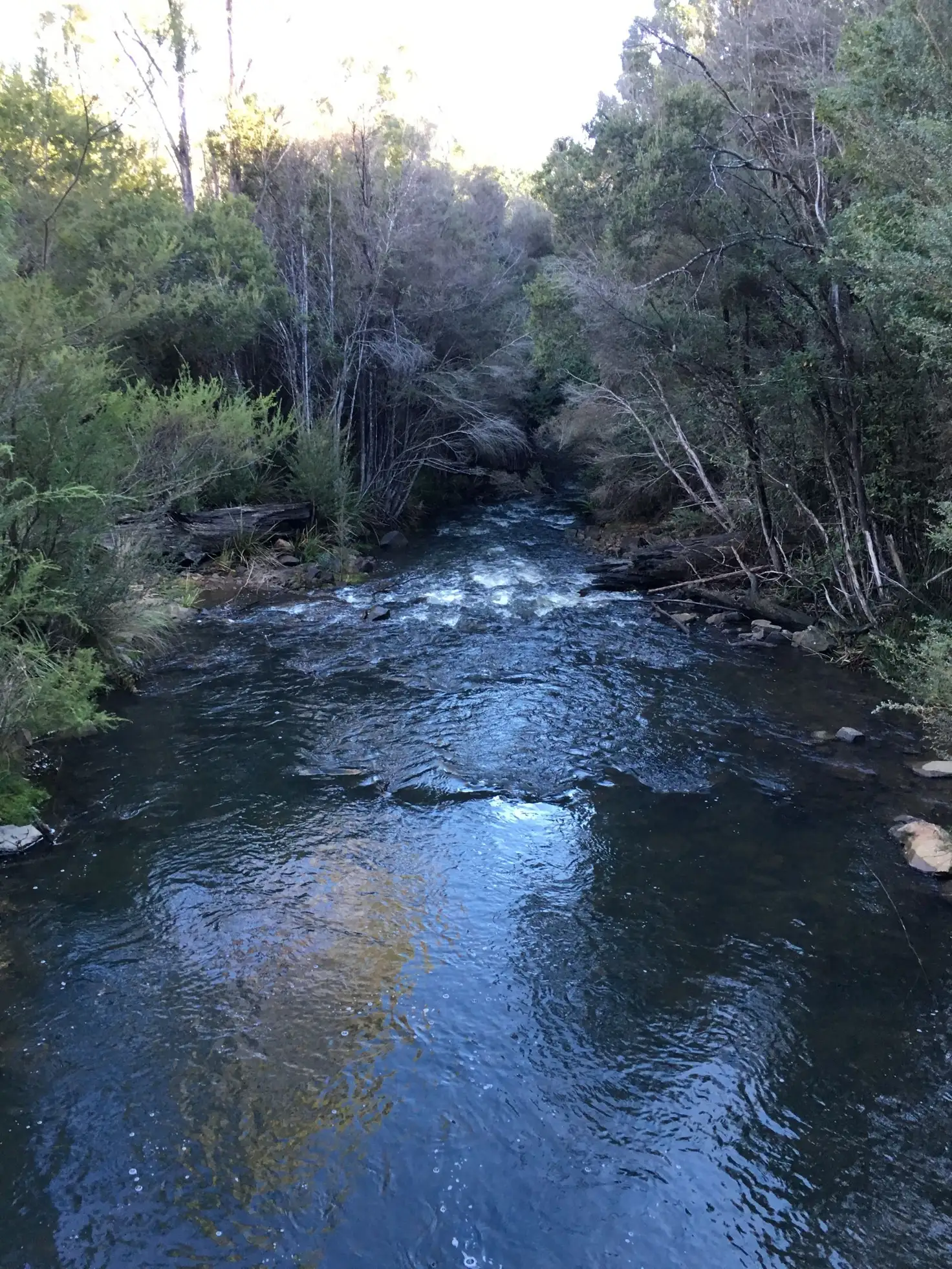 Main view of Homely land listing, 170 Distillery Track, Nunamara TAS 7259