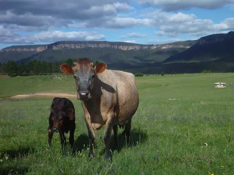 Third view of Homely land listing, 57G Ward Road, Megalong Valley NSW 2785
