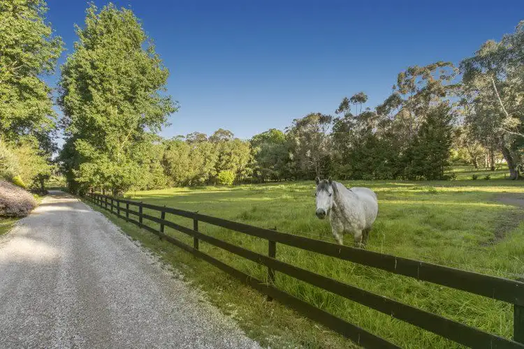 Fourth view of Homely rural property listing, 186 Loch Street, Yarragon VIC 3823
