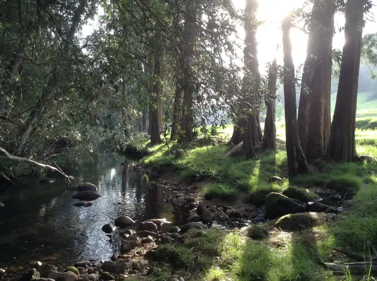 Second view of Homely rural property listing, 205 Gerringong Creek Road, Kangaroo Valley NSW 2577