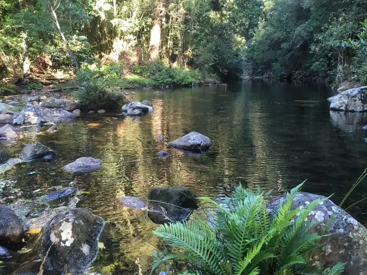 Fourth view of Homely rural property listing, 205 Gerringong Creek Road, Kangaroo Valley NSW 2577