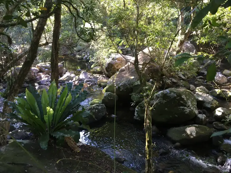 Fifth view of Homely rural property listing, 205 Gerringong Creek Road, Kangaroo Valley NSW 2577