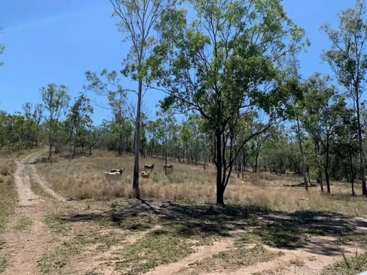 Lots 60 & 61 Neil Creek Road, Calliope QLD 4680