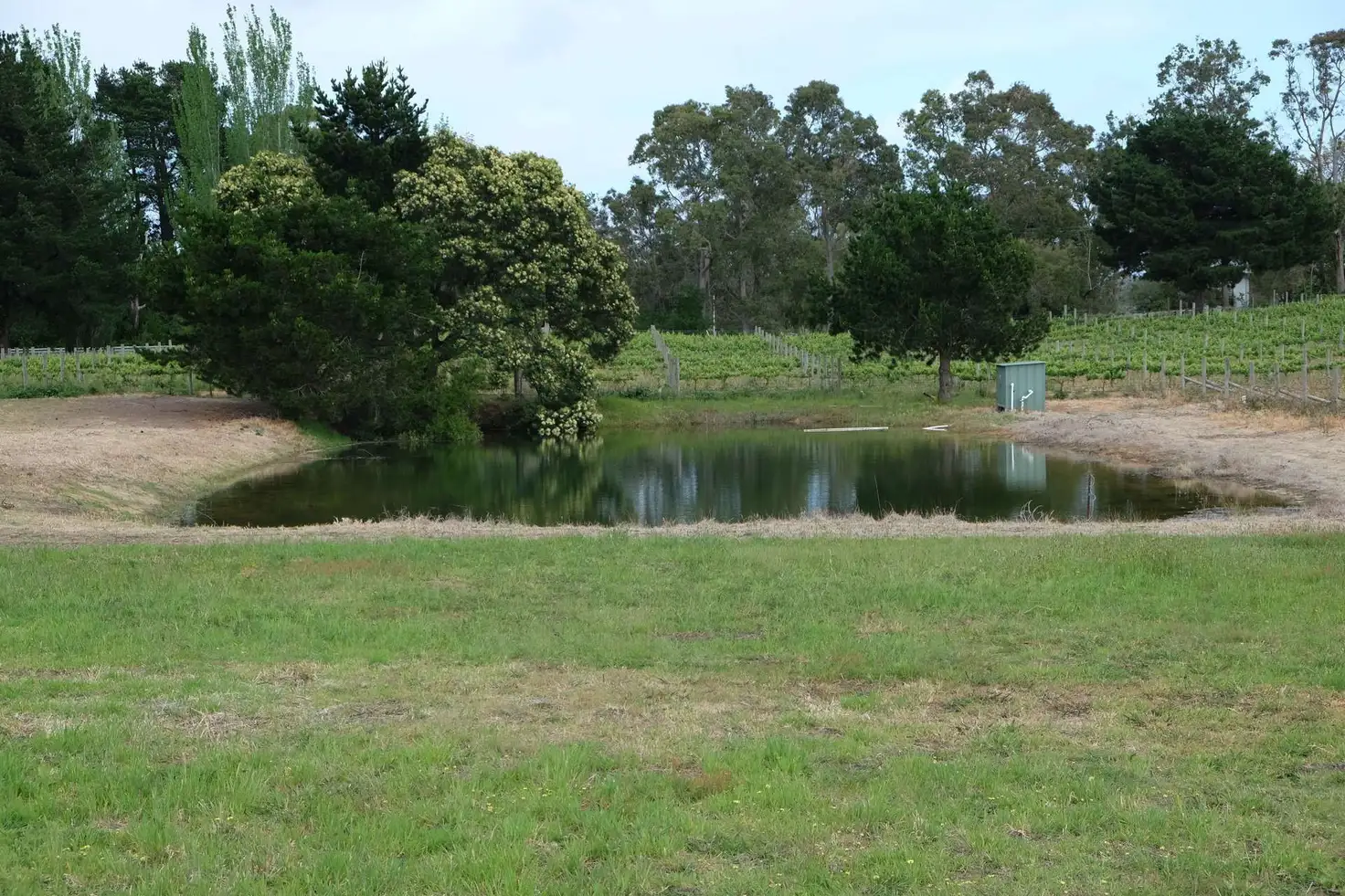 Main view of Homely rural property listing, 65 Dandenong Hastings Rd, Somerville VIC 3912
