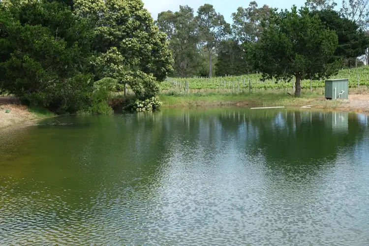 Fourth view of Homely rural property listing, 65 Dandenong Hastings Rd, Somerville VIC 3912