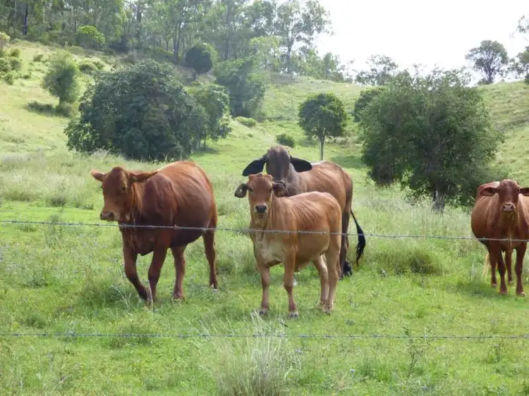 lot/164 Voll Rd, Crows Nest QLD 4355