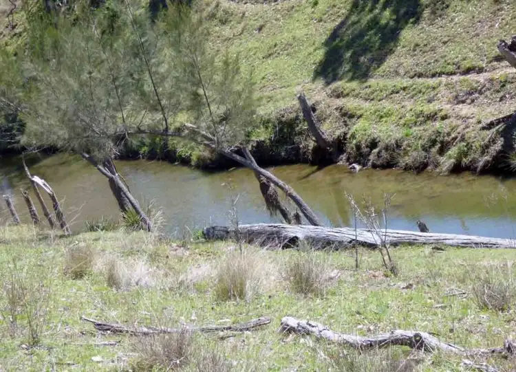 Third view of Homely rural property listing, lot/164 Voll Rd, Crows Nest QLD 4355